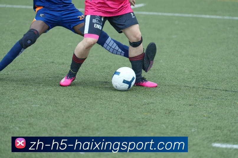 海星体育服务体系