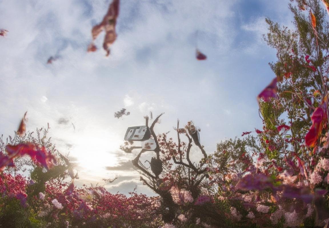 多特蒙德VS泽尼特：巅峰对决背后的历史、战术与未来展望